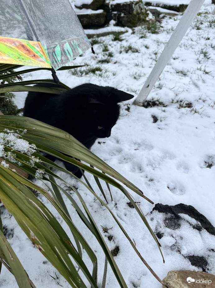 Tetszik a hóesés