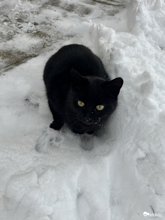 Kit érdekel, hogy hideg :) 