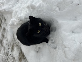 Kit érdekel, hogy hideg :) 