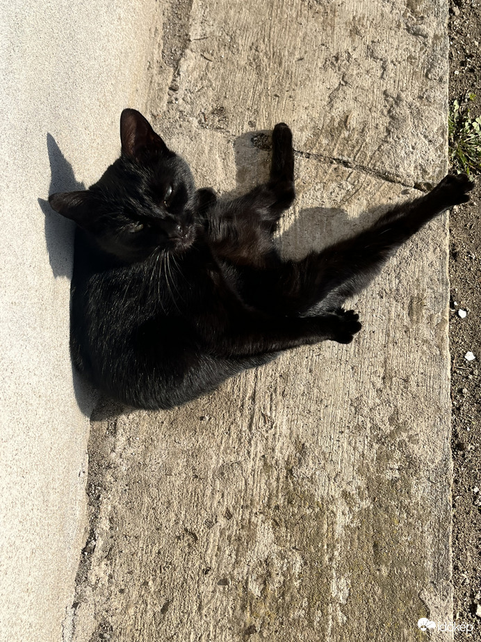 Élvezem a napsütést :) 