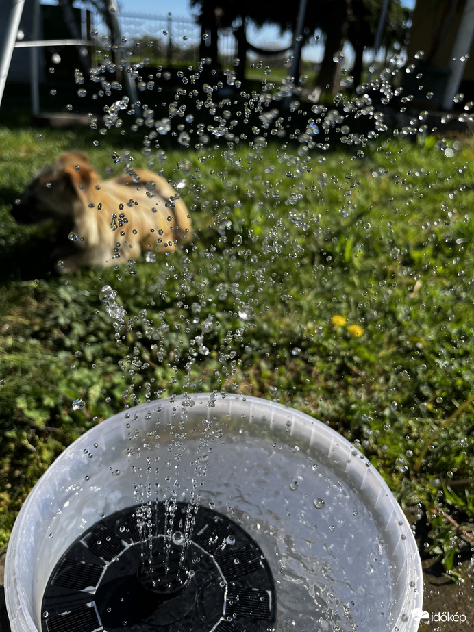 Sok-sok vízcsepp