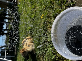 Sok-sok vízcsepp