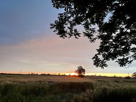 Még a vihar előtt