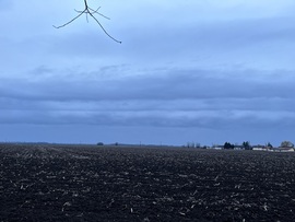 Kertek alatt az eső