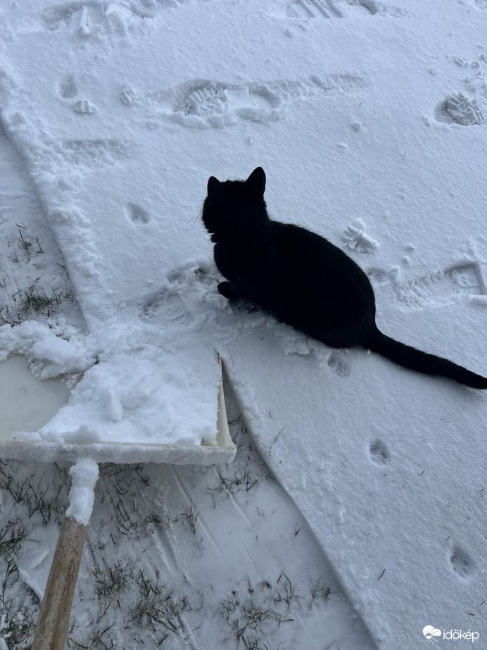 Tetszik ahogy dobod a havat :)