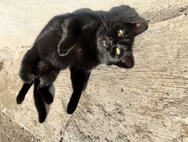 Élvezem a napsütést :) 