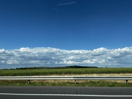 barlabasheni fotója