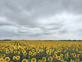 Magyardombegyház