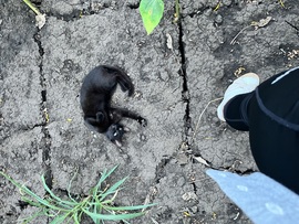 Elkísért viharvadászni :) 