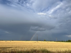 barlabasheni fotója