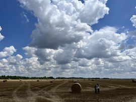 barlabasheni fotója