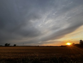barlabasheni fotója