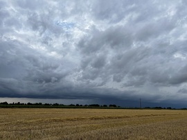 barlabasheni fotója