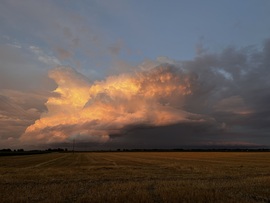 barlabasheni fotója