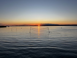 barlabasheni fotója