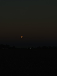 barlabasheni fotója