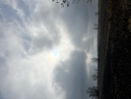 barlabasheni fotója