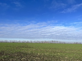 barlabasheni fotója