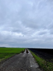 barlabasheni fotója