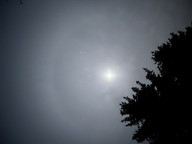 barlabasheni fotója