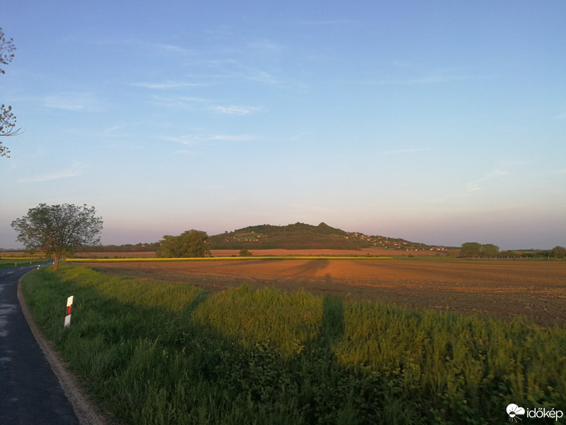 Mesteri