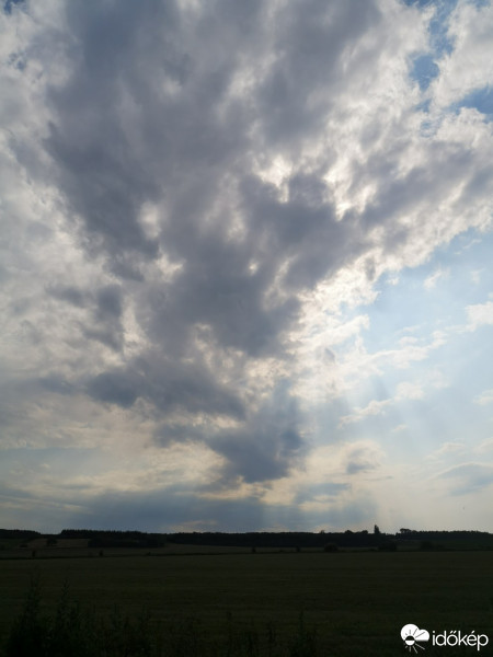 Káld