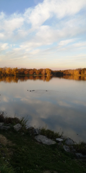 Zalaegerszeg