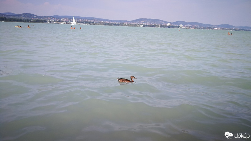 Tihany