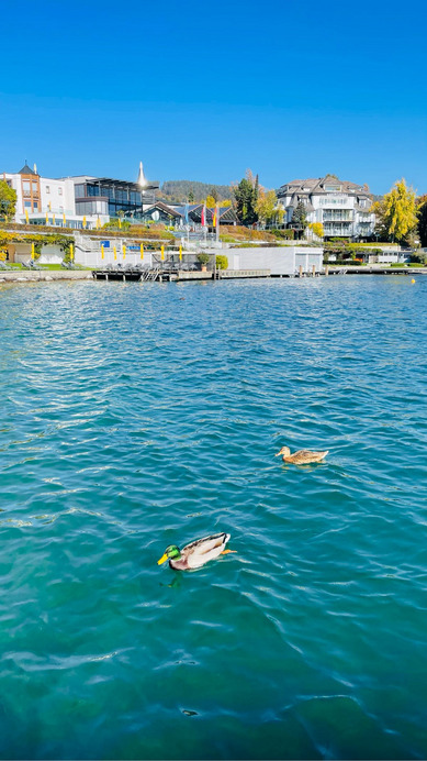 Velden am Wörther See