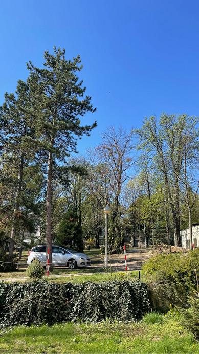 Budapest XII.ker - Krisztinaváros