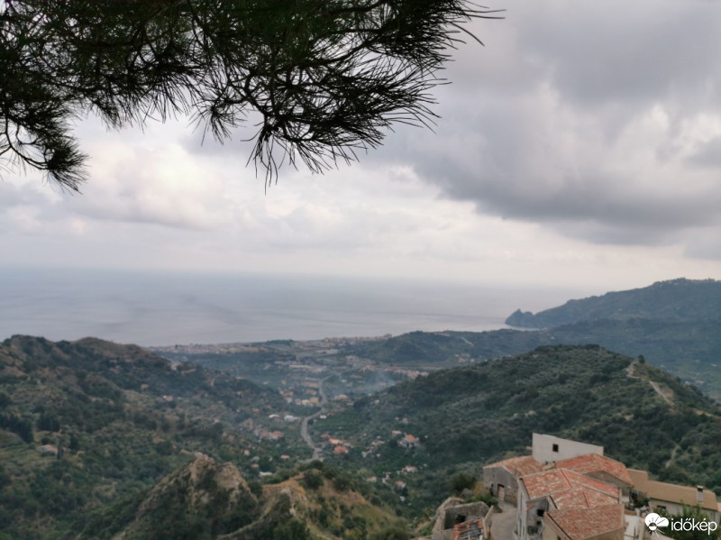 Savoca