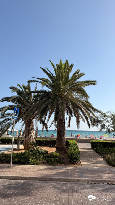 Son San Juan
