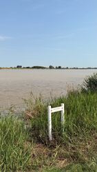 Weiden am See