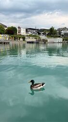 Velden am Wörther See
