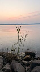 Balatonföldvár
