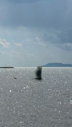 Balatonföldvár