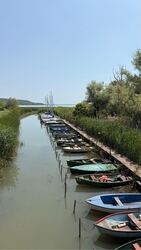 Balatonfűzfő