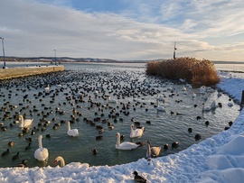 Olvadásra várva