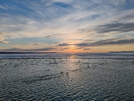 Naplemente