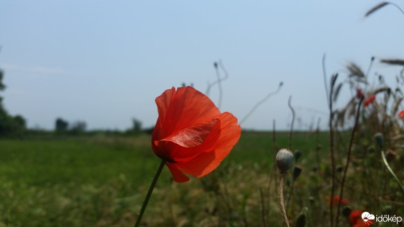 Kétegyháza