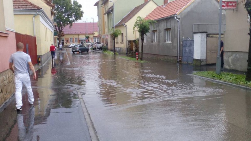 Németh Viktória fotója