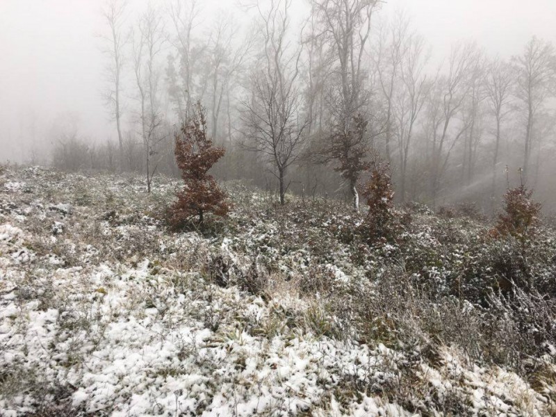 Kab-hegy
