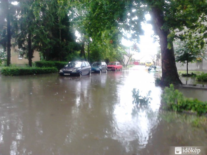 Fölkerné Kosztyu Viola fotója