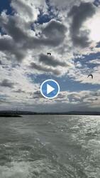Tihany