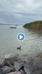 Siófok