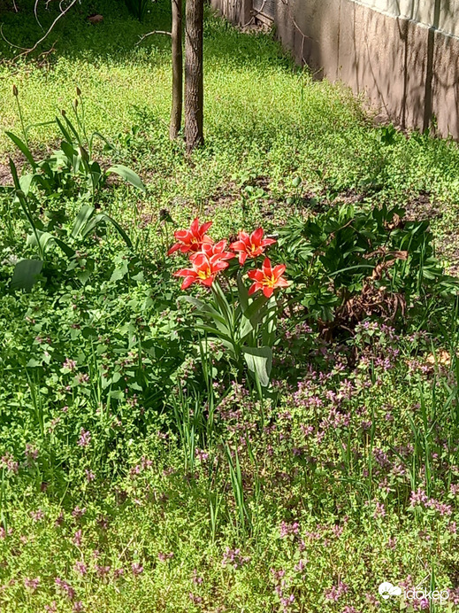 Budapest III.ker - Aquincum