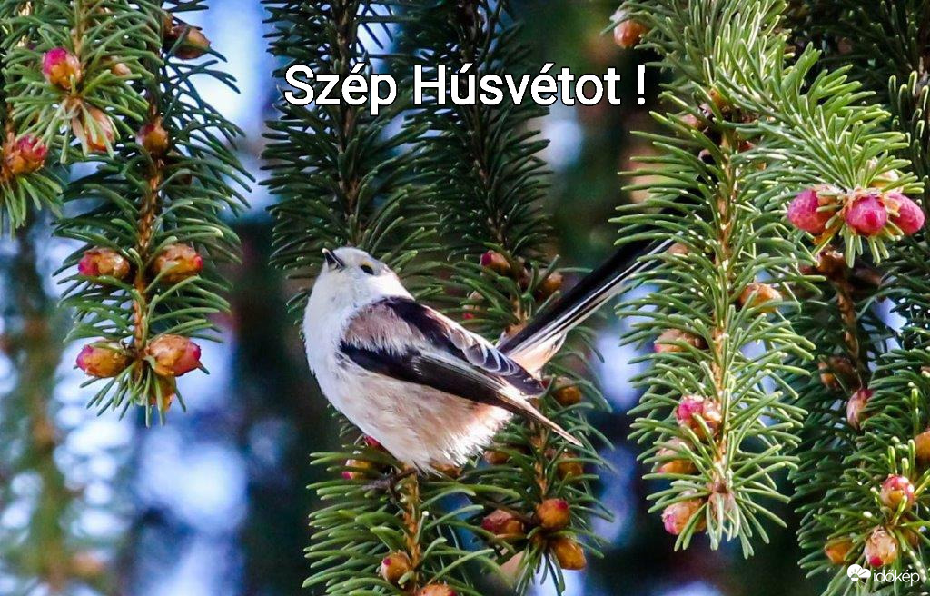 Kellemes Húsvéti ünnepeket!