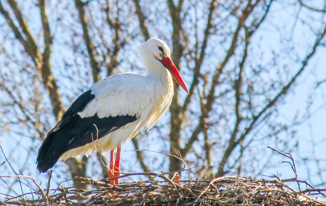 Várom a párom! Én már két hete itt vagyok!