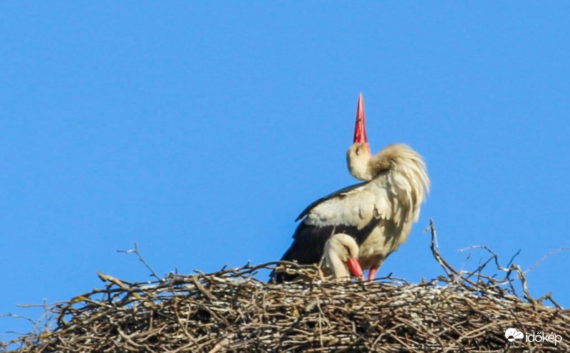 Ha már unod, akkor is Maradj Otthon 