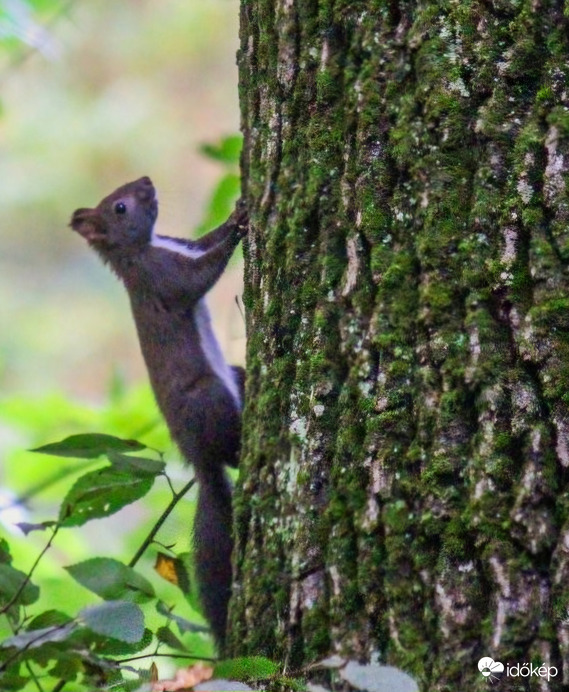 Irány a csillagos ég!